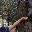 ���������� ������, ���� ������� ����, 30 ���, ������������ ��� ����� � ���������, c�������� ���������