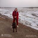 ���������� �����, ���� ������� ����������, 59 ���, ������������ ��� ����� � ���������, c�������� ���������, ���������