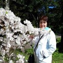  ,   , 50 ,     