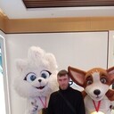 ���������� ������, ���� ������� �����, 38 ���, ������������ ��� ������, ����� � ���������