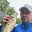 ���������� ���������, ���� ������� ������, 37 ���, ������������ ��� ������, ����� � ���������, c�������� ���������, ���������