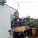  ,   , 50 ,     , c 