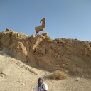 ���������� ������, ���� ������� �����, 46 ���, ������������ ��� ������, ����� � ���������, c�������� ���������