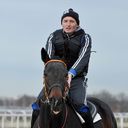 ���������� ���������, ���� ������� Vasiliu, 40 ���, ������������ ��� ������, ����� � ���������, c�������� ���������, ���������