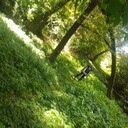 ���������� �������, ���� ������� �����, 41 ���, ������������ ��� ������, ����� � ���������, c�������� ���������, ���������