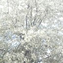 ���������� �����-���������, ���� ������� Mikel, 60 ���, ������������ ��� ����� � ���������, c�������� ���������