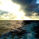 ���������� ����������, ���� ������� ������, 32 ����, ������������ ��� ������, ����� � ���������, c�������� ���������