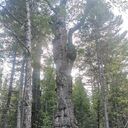 ���������� �������, ���� ������� �������, 34 ����, ������������ ��� ������, ����� � ���������, c�������� ���������