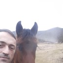  -,   , 53 ,   ,   , c 