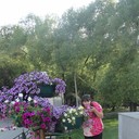 ���������� �����, ���� ������� �����, 32 ����, ������������ ��� ������, ����� � ���������, c�������� ���������