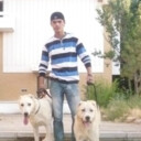 ���������� ���������, ���� ������� �������, 34 ����, ������������ ��� ������, ����� � ���������, c�������� ���������