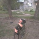 ���������� ������, ���� ������� �������, 38 ���, ������������ ��� ������, ����� � ���������, c�������� ���������