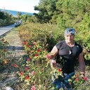 ���������� �����-���������, ���� ������� ������, 52 ����, ������������ ��� ������, ����� � ���������