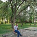 ���������� ������������, ���� ������� �����, 33 ����, ������������ ��� ������, ����� � ���������