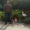  ,   , 80 ,   