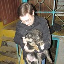  ,   , 43 ,   ,   , c 