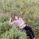   ,   , 43 ,   ,   , c , 