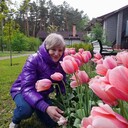  ,    , 54 ,   ,   