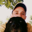 ���������� �������, ���� ������� �������, 38 ���, ������������ ��� ������, ����� � ���������, c�������� ���������, ���������