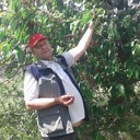  ,   , 55 ,     , c 