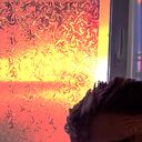 ���������� ��������, ���� ������� �����, 29 ���, ������������ ��� ������, ����� � ���������