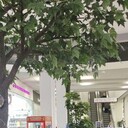 ���������� ������, ���� ������� ������, 32 ����, ������������ ��� ������, ����� � ���������