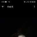 ���������� �����������, ���� ������� ������, 28 ���, ������������ ��� ������, ���������