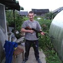  ,   Wood, 31 ,   ,   , c 