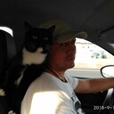  ,   , 55 ,     , c 