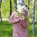 ���������� ������, ���� ������� �����, 54 ����, ������������ ��� ������, ����� � ���������, ���������