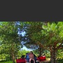 ���������� ��������, ���� ������� �����, 33 ����, ������������ ��� ������, ����� � ���������, c�������� ���������