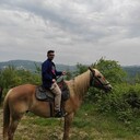  ,   , 29 ,   ,   , c , 