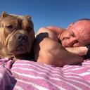 ���������� ������, ���� ������� ����, 41 ���, ������������ ��� ������, ����� � ���������, c�������� ���������, ���������