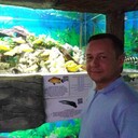 ���������� �����-���������, ���� ������� ������, 45 ���, ������������ ��� ����� � ���������, c�������� ���������