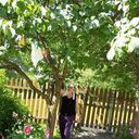 ���������� �������, ���� ������� �����, 63 ����, ������������ ��� ������, ����� � ���������