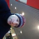 ���������� ���������, ���� ������� ����, 36 ���, ������������ ��� ������, ����� � ���������, c�������� ���������, ���������