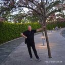 ���������� ���������, ���� ������� ���������, 44 ����, ������������ ��� ������, ����� � ���������