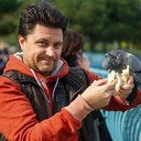 ���������� ������, ���� ������� ������, 50 ���, ������������ ��� ������, ����� � ���������, c�������� ���������