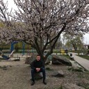 ���������� ��������������, ���� ������� ������, 52 ����, ������������ ��� ������, ����� � ���������