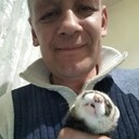 ���������� ����, ���� ������� ���, 47 ���, ������������ ��� ������, ����� � ���������, c�������� ���������, ���������