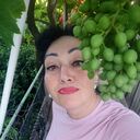  ,   , 56 ,   ,   , c , 