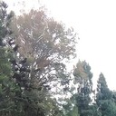  Bairiki,   Ilham, 20 ,   ,   