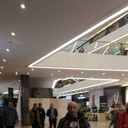 ���������� �����, ���� ������� �������, 55 ���, ������������ ��� ������