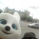  ,   , 42 ,  