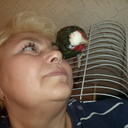  ,   , 62 ,   ,   , c 