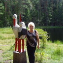 ���������� �����, ���� ������� �������, 71 ���, ������������ 