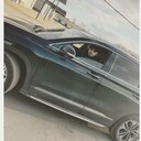 ���������� �����-���������, ���� ������� ����, 38 ���, ������������ ��� ������, ����� � ���������, c�������� ���������