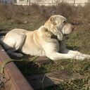 ���������� ��������������, ���� ������� �����, 48 ���, ������������ ��� ������, ����� � ���������