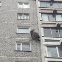 ���������� ������, ���� ������� �����, 36 ���, ������������ ��� ������, ����� � ���������, c�������� ���������, ���������