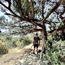 ���������� ����������, ���� ����� ������, 22 ����, ������������ ��� ������, ����� � ���������, c�������� ���������